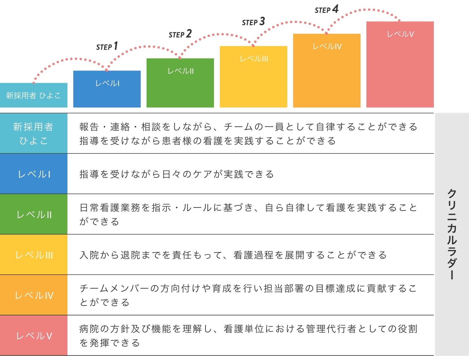 クリニカルラダー構図